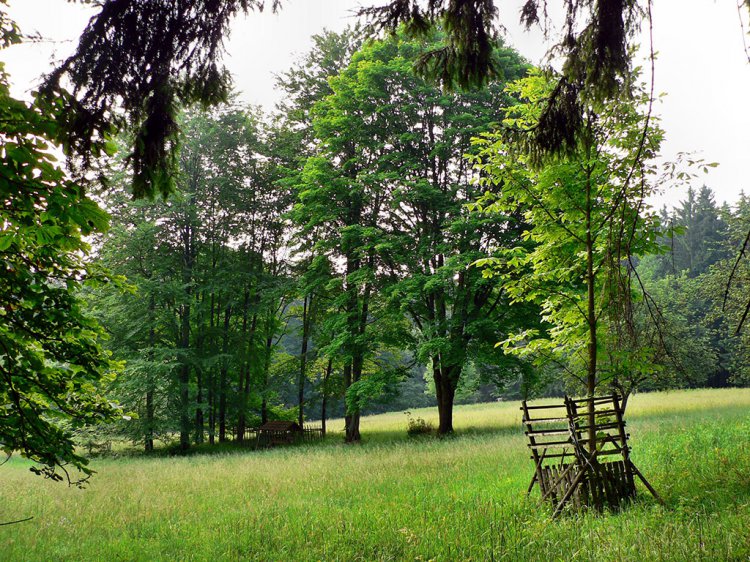 Pod Kloboučkem