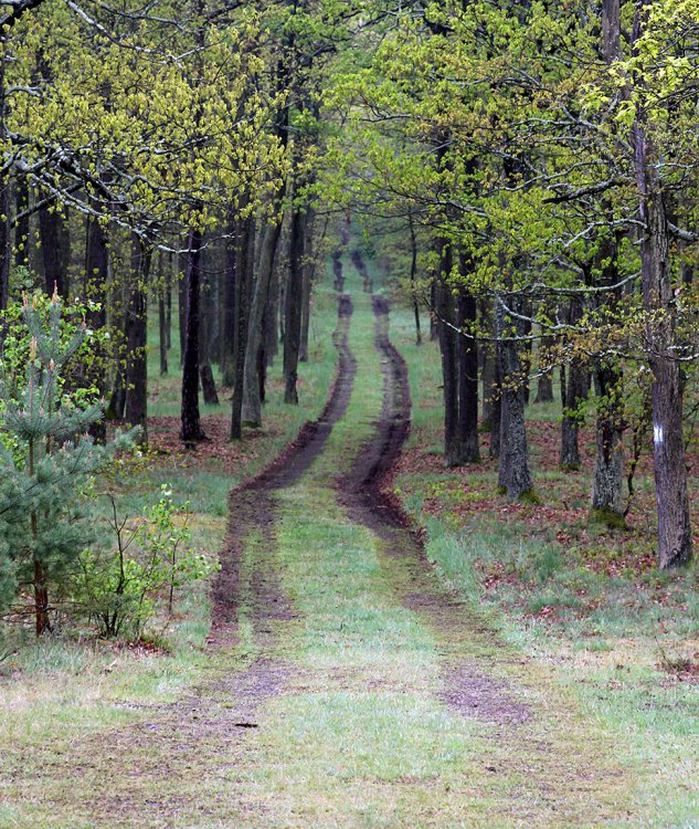 Královská stolice, pohled od altánu